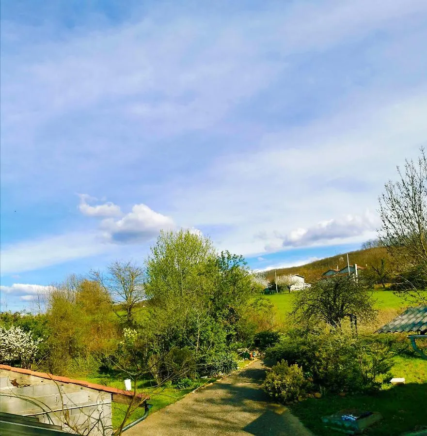 La Maison Du Bonheur Maison De Campagne 20 Personnes Avec Jacuzzi Anneyron